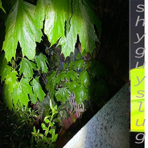 intro : inmycryopod. prod floranoir