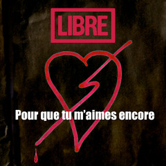 Pour que tu m'aimes encore - ROCK