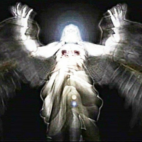 Paleface swiss- lights out