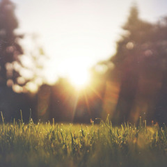Oh Golden Morning