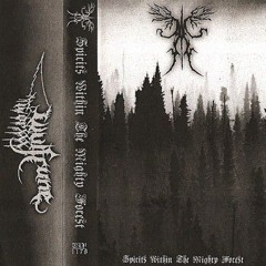 Ancient Boreal Forest - Cold Dead Mountain