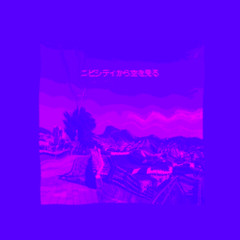 회색시티에서 하늘을 보다 (ニビシティから空を見る)