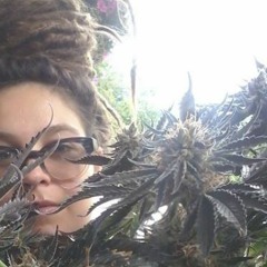 Time ft. Casey Fulton ( 2015 )