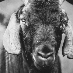 Wouldst Thou Like To Live Deliciously?