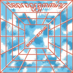 Bodyzone - Deprogramming V01 - 14 CSRF