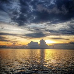 WARRIOR - Jayrex Suisui 2021 (675)🇵🇬