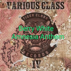 Berry White - Amnesia Anthem (clip)( Free Dl Tiger class records)