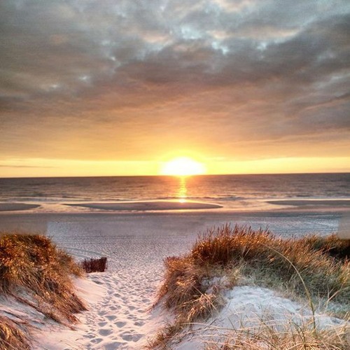 ARCZI & Matt Bukovski & Andy Elliass ft. Aneym - All I Can Do / Andrew Rayel - Find Your Harmony 92