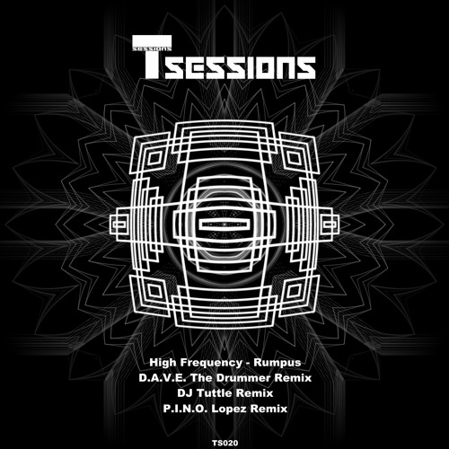 High Frequency - Rumpus (D.A.V.E. The Drummer Remix) [T Sessions 20] Out now!