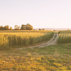 // peter hollens ~ homeward bound [slowed] //