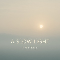 A Slow Light