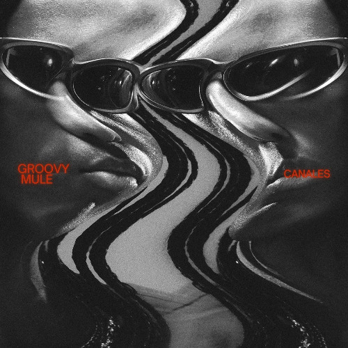 Groovy Mule (Chris Lake/ Cloone/ Mau P Style)