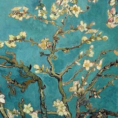 The Blaze - Opening + Mount (live)