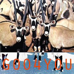 goo4you - 1