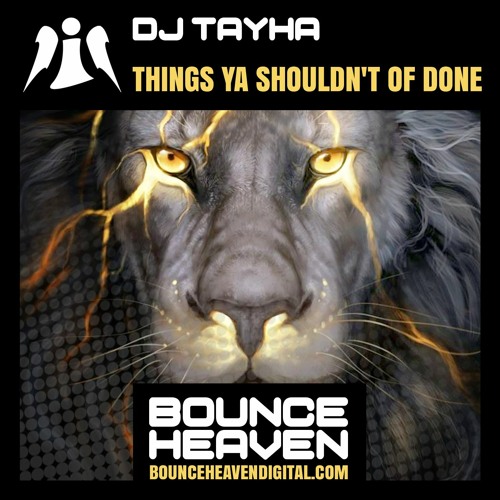 DJ Tayha - Things Ya Shouldnt Of Done - BounceHeaven.co.uk