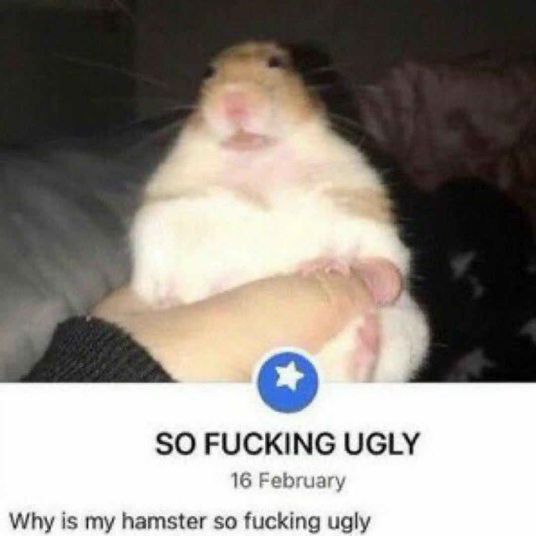 Listen to I know you wanna kiss me. by mar in 🍏 playlist online for free  on SoundCloud