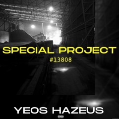Special Project #13808
