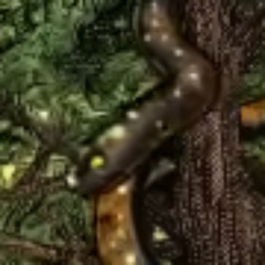 phase one - SOS ft. Make Them Suffer (dylcuervmurci remix)