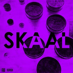 02 - Skaal