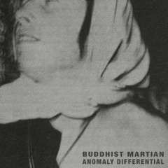 Buddhist Martian - In Regards To Themselves [Several Minor Promises]