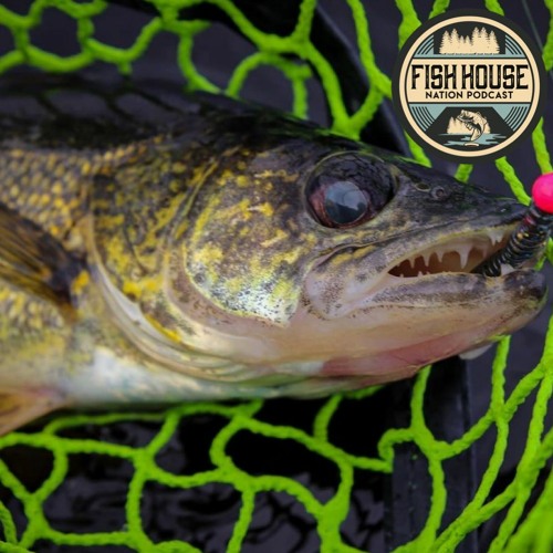 Stream episode Mille Lacs Walleye Slot Limit Regulation Changes Fish