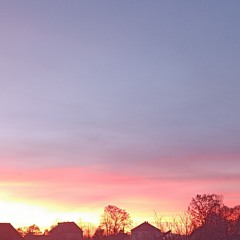 P1dDorЯ xXxXxXobl1iNНxXxXx🍄