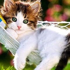 röstmemo - 13 oktober 2025 kl. 14:20