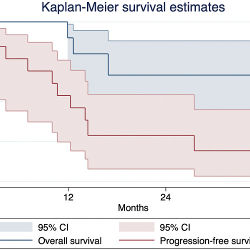 Rare Pancreatic Cancer Patients Show Strong Response to Immunotherapy