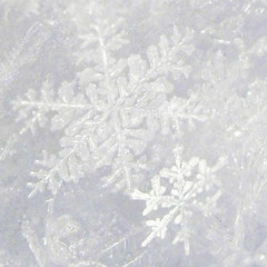 Cold