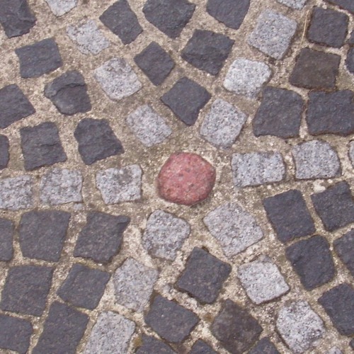 Dropism
