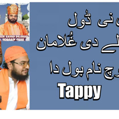 Taj Wale De Ghulama Vich Naam Qawali Urs Taj Wai Sarkar Silsila E Sabriya Dilshadiya 2024
