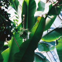 Matatu 07|25 Summer @ Cashmere Radio