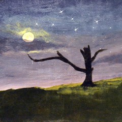 Moonlit Meadow [ORCHESTRAL]