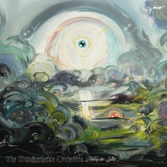 The Transcendence Orchestra 'The Golden Jaws Of The Celestial Vice' (EMEGO 282)