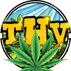 hash valley sweet mint