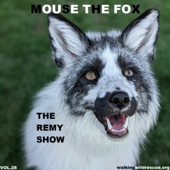 MOUSE THE FOX - THE REMY SHOW - VOL.28 - 25.07.2021