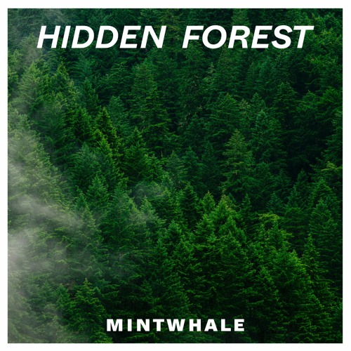 Stream Hidden Forest - Ambient Piano Background Music | Fairytale Piano  Music (FREE DOWNLOAD) by MintWhale | Listen online for free on SoundCloud