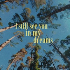 I Still See You In My Dreams