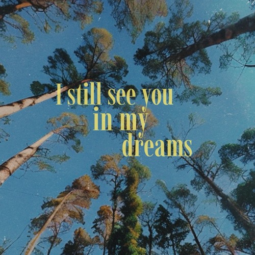 I Still See You In My Dreams