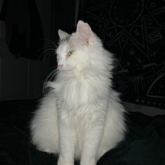 high n it’s all my fault