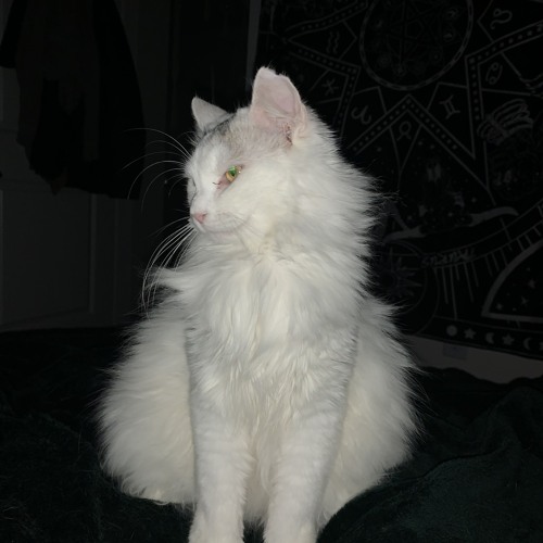 high n it’s all my fault