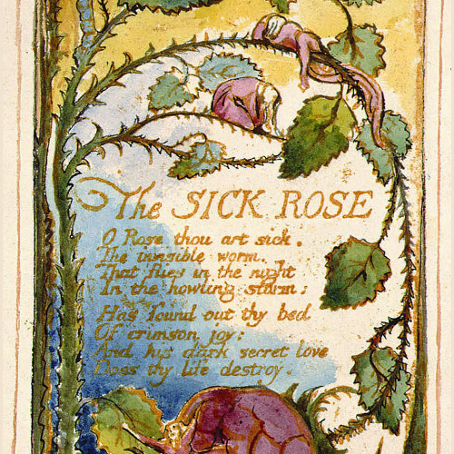 The Sick Rose by William Blake