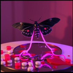 Black Moth All I Ever Wanted X 10 013