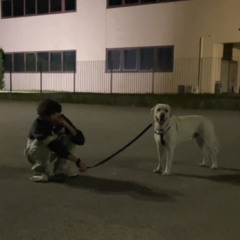 quello che hai seminato (prod l.thug) Dm 124