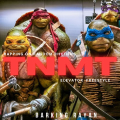 TMNT ELEVATOR FREESTYLE | RRR(RAPPING ON RANDOM RHYTHMS) EP - 1