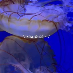 ⋅˚₊‧ ଳ⋆.ೃ࿔*:･