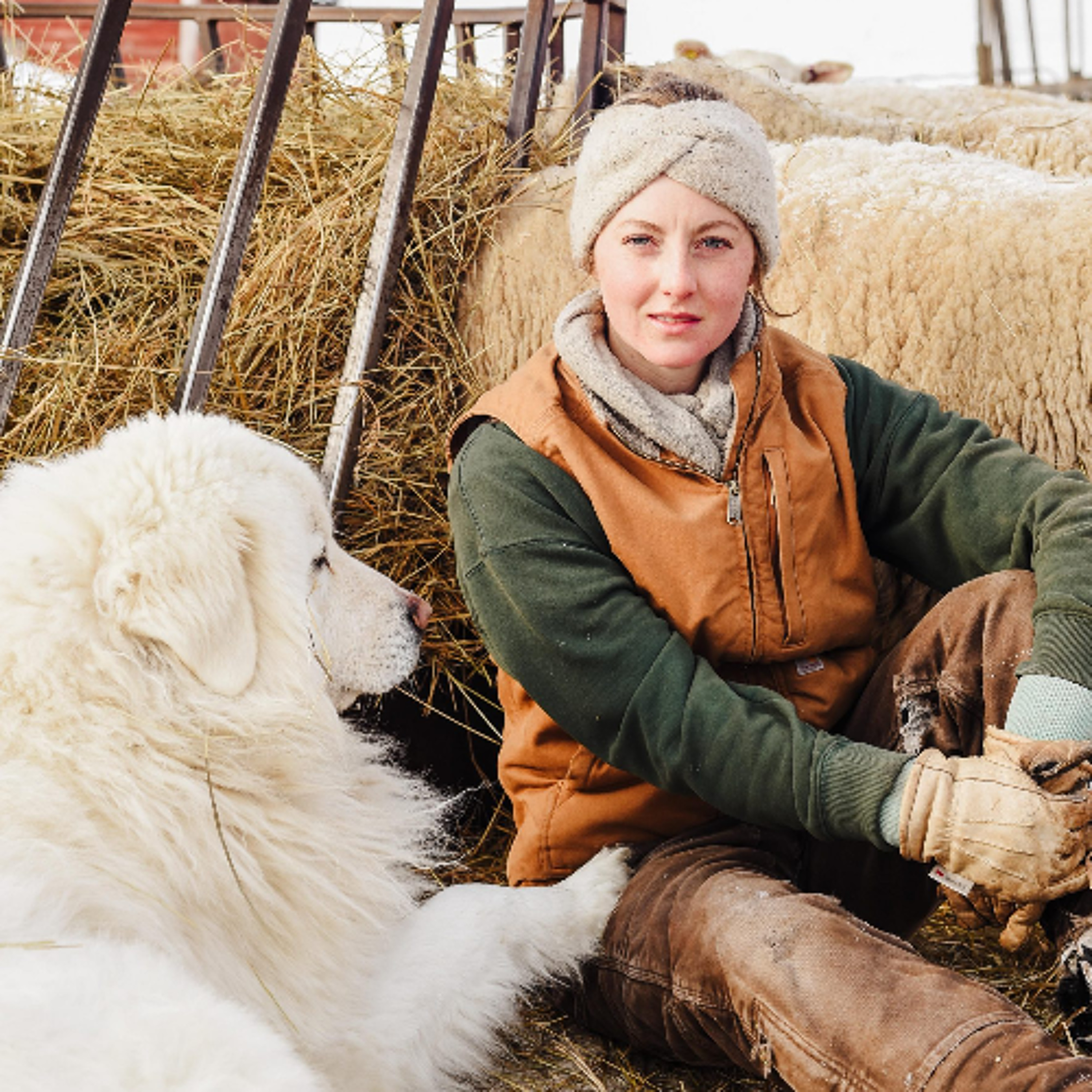 Chatsworth Farm wins international agritourism award