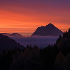BEAUTIFUL MOMENTS