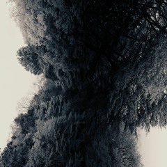 wlr088 Nebel lang -Hand in Mine