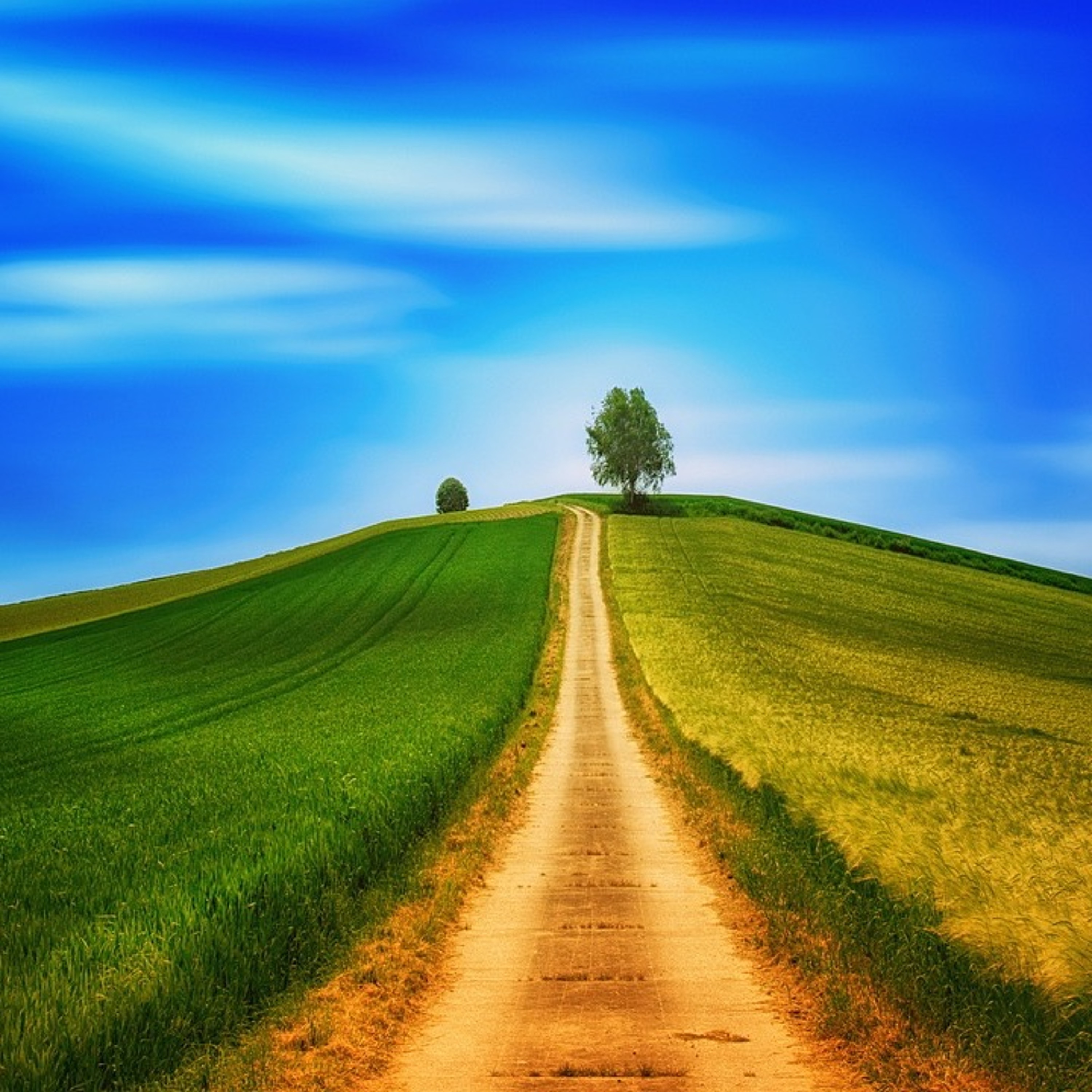 Quattro Stagioni 150 - camminare nella natura